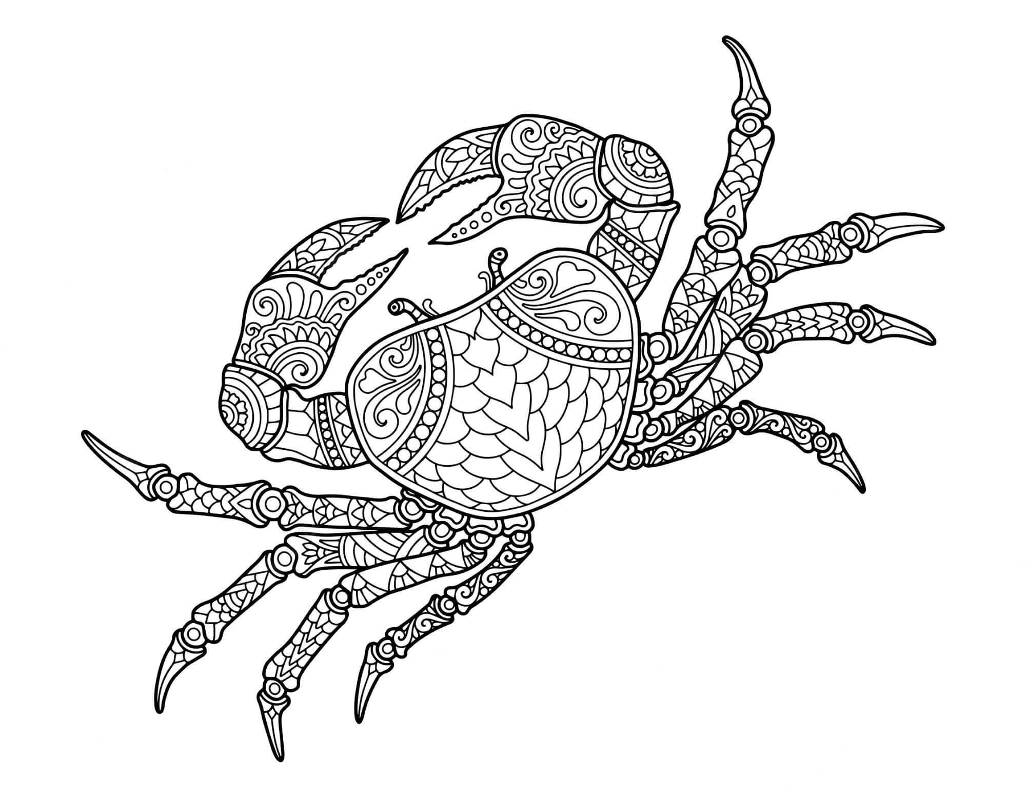 Cangrejo Mandala