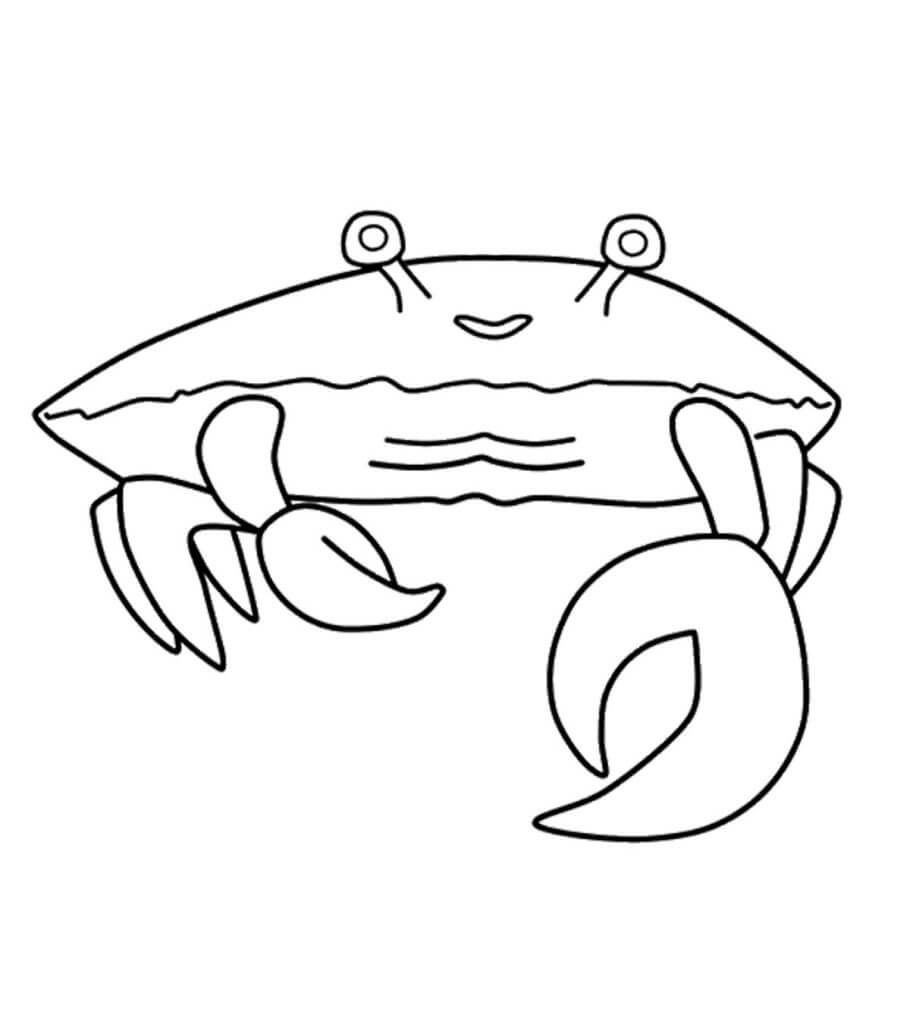 Cangrejo Sencillo