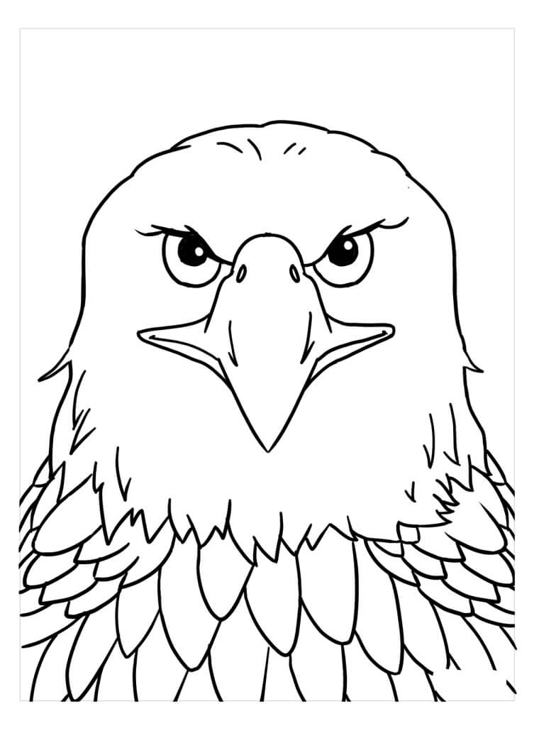 Cara de Águila