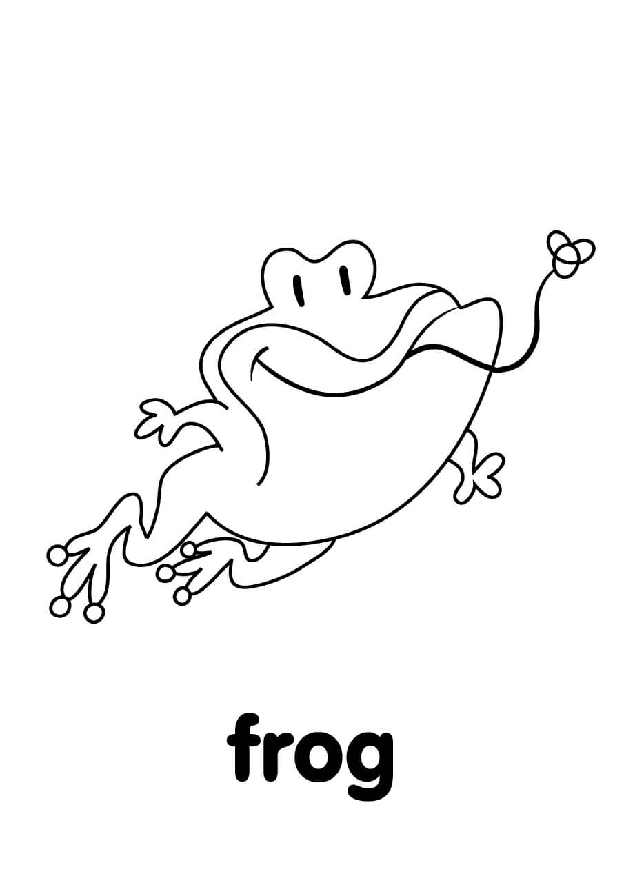 Comer Ranas