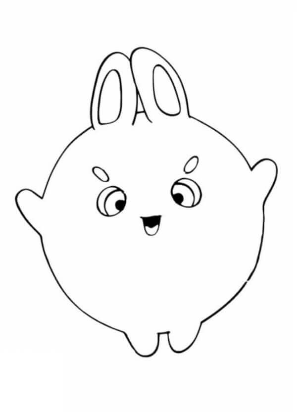 Conejitos Soleados Big Boo