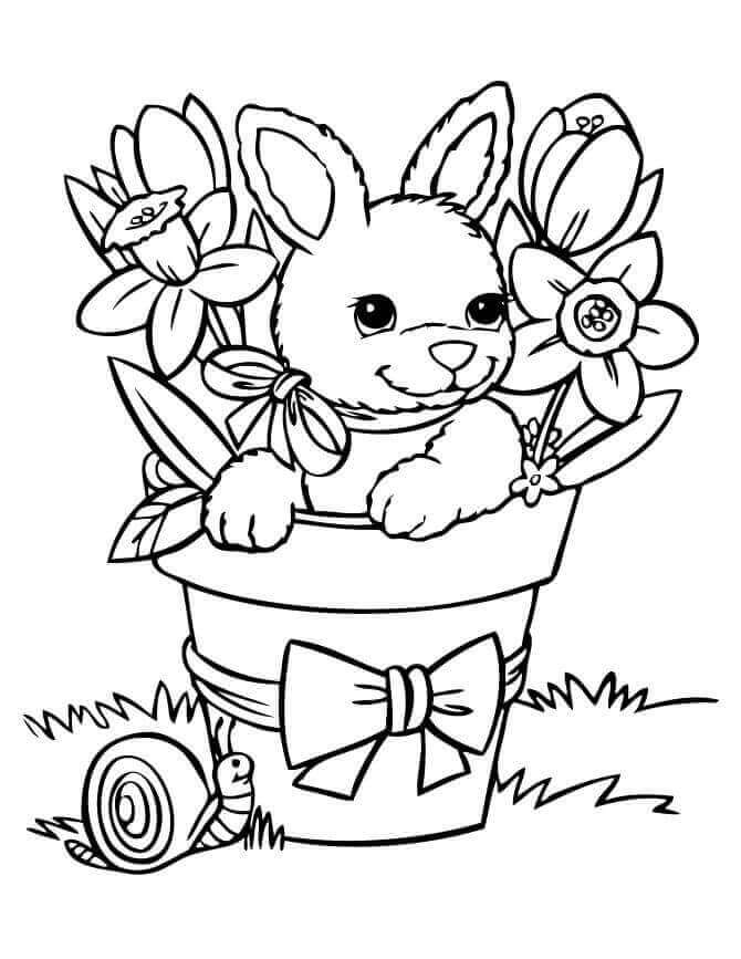 Conejo en Maceta en Primavera