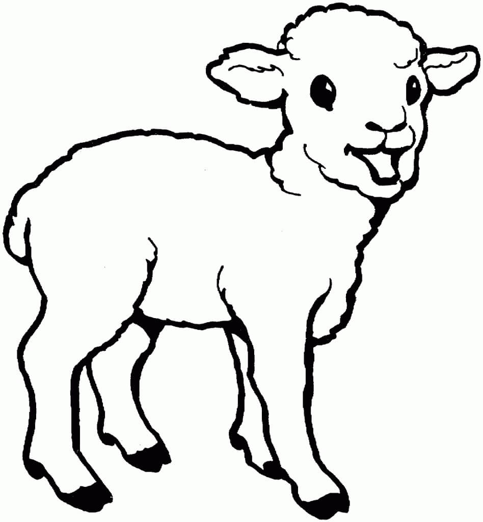 Cordero