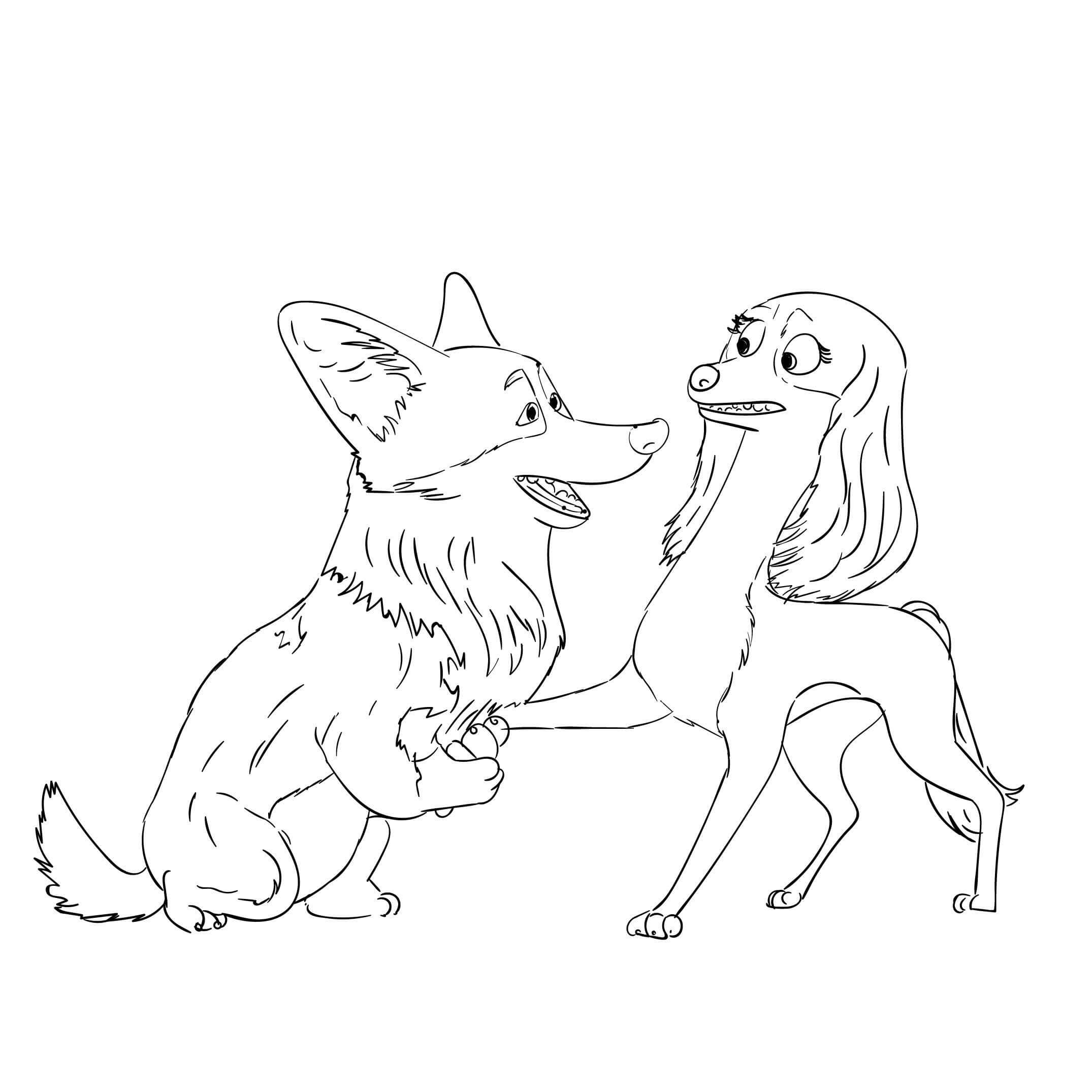 Corgi de la Reina
