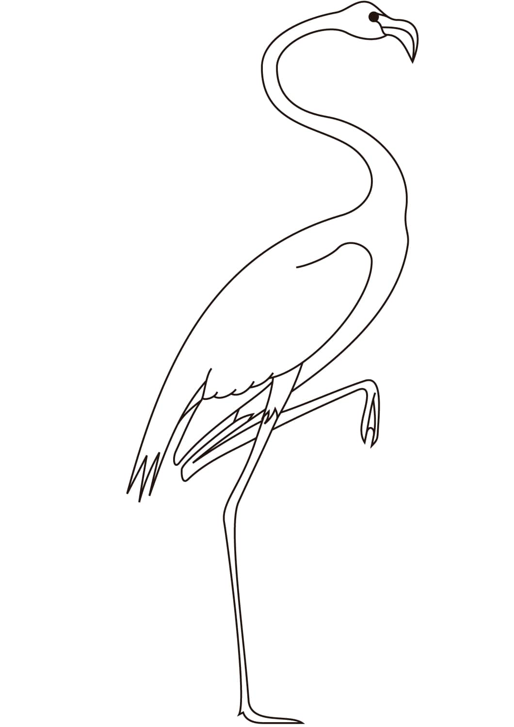 Cuadro HQ Flamingo