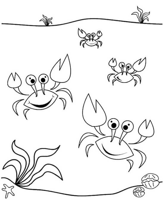 Cuatro Cangrejos Bailando