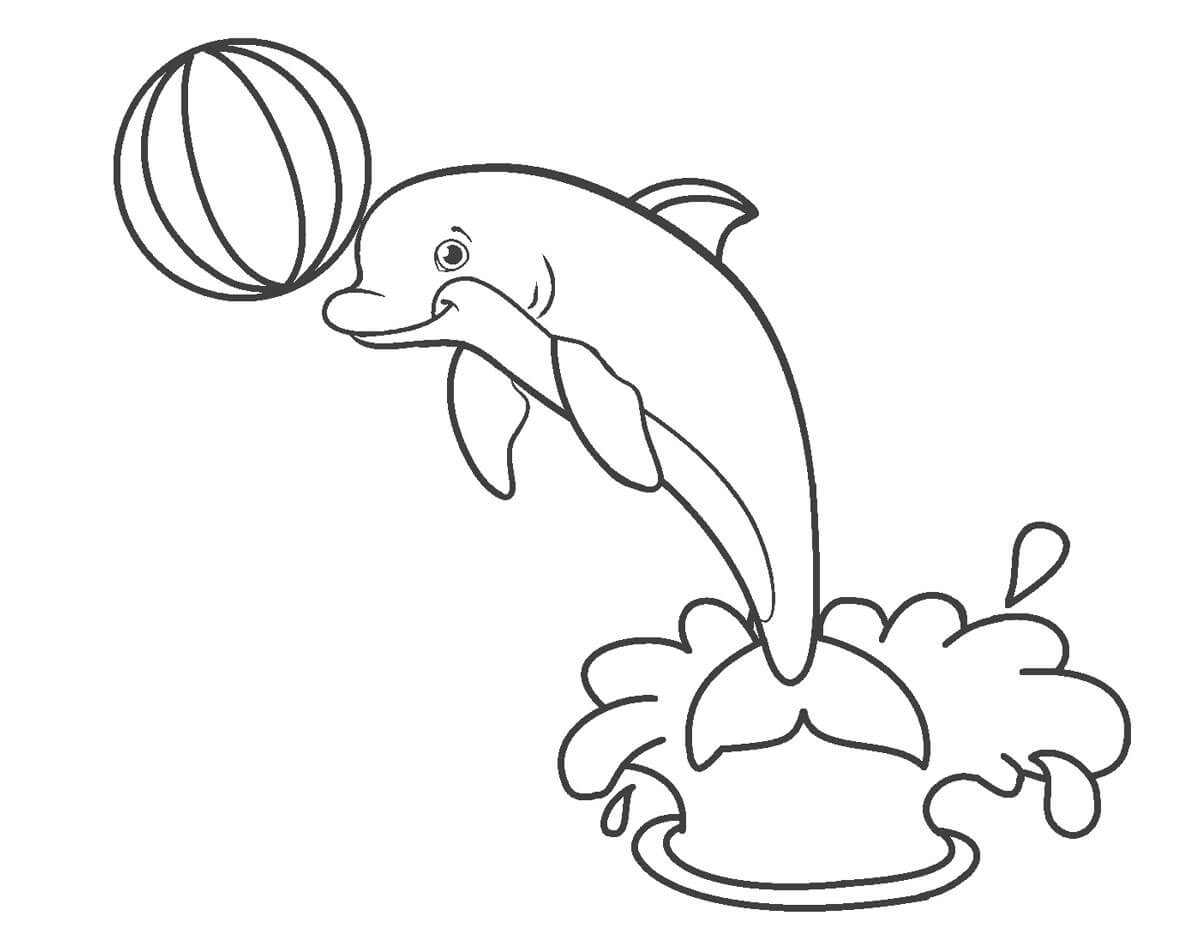 Delfín con Pelota