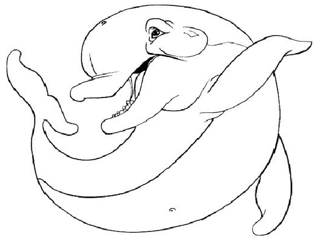 Delfín Gordo