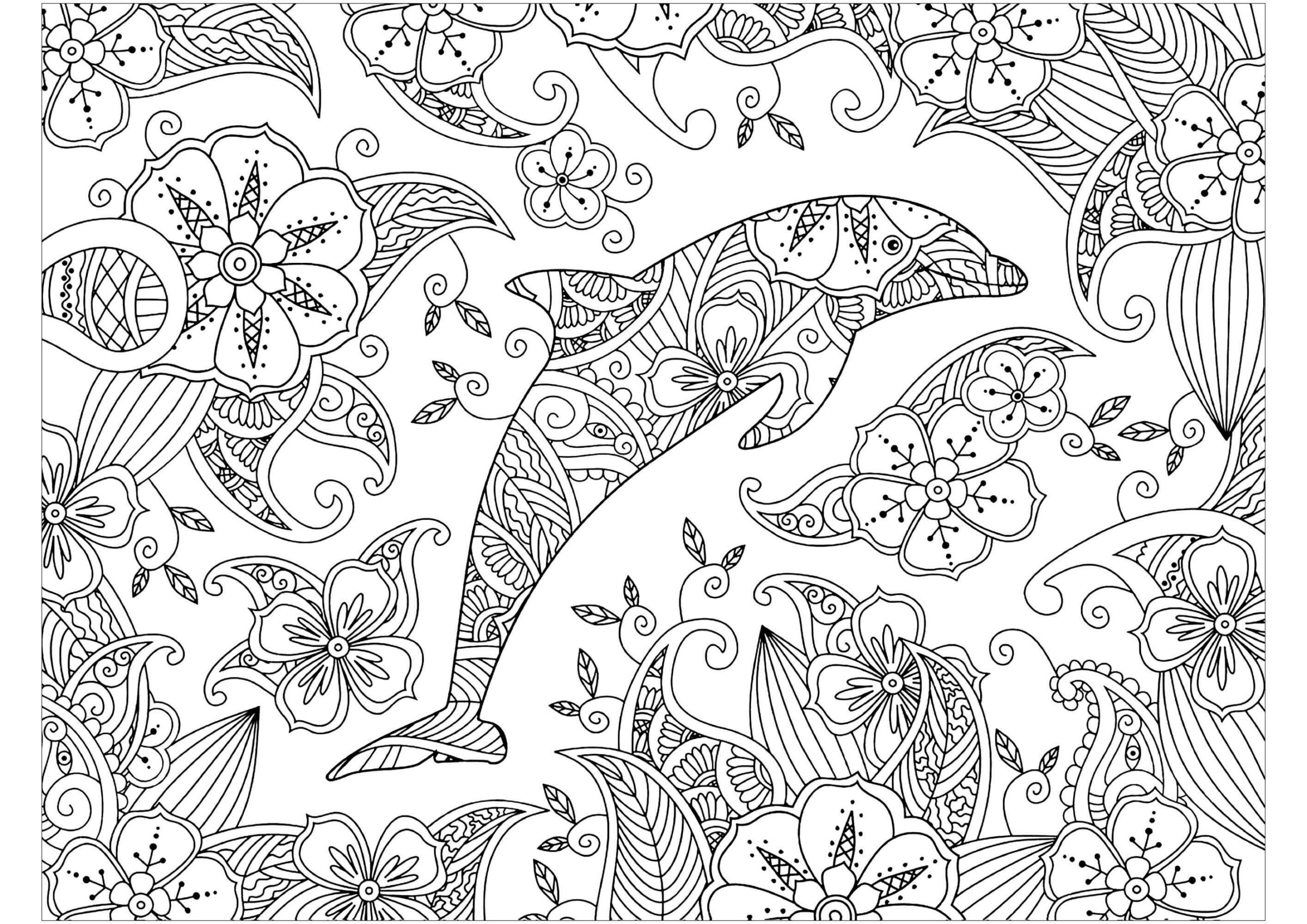 Delfín Zentangle