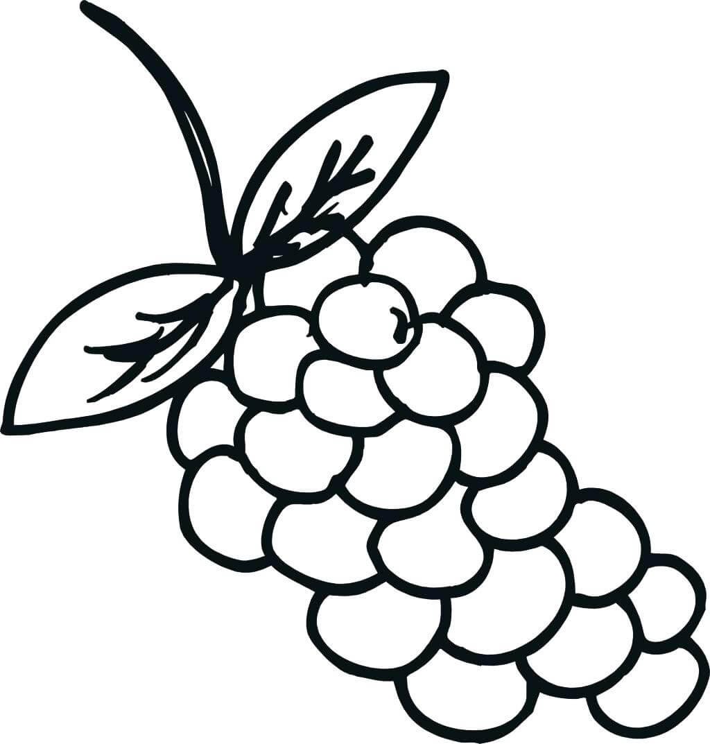 Dibujar Uvas