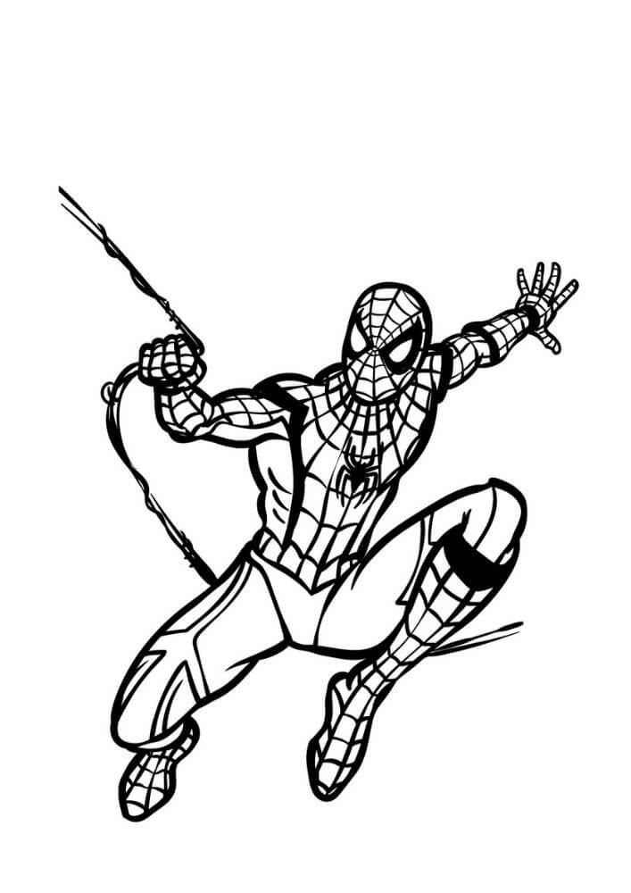 Dibujo Básico del Hombre Araña