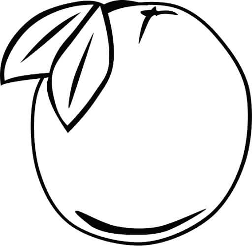 Dibujo de Fruta de Guayaba