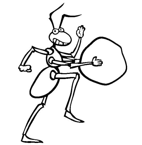 Dibujo Divertido Hormiga