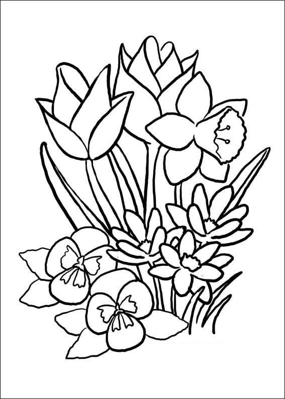 Dibujo Flor en Primavera