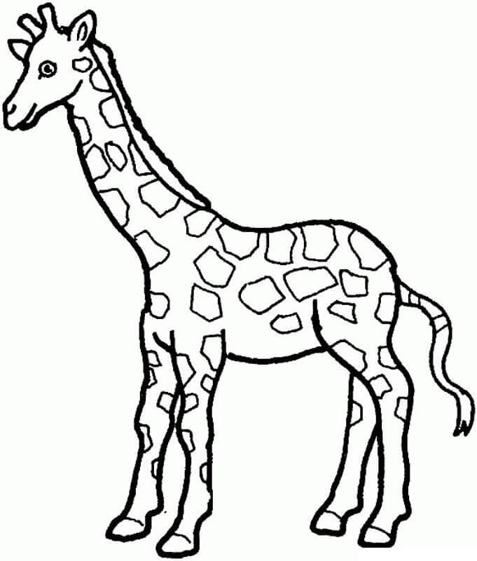 Dibujo Jirafa
