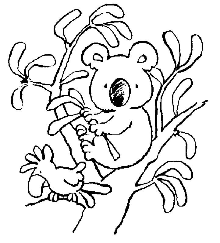 Dibujo Loro y Koala