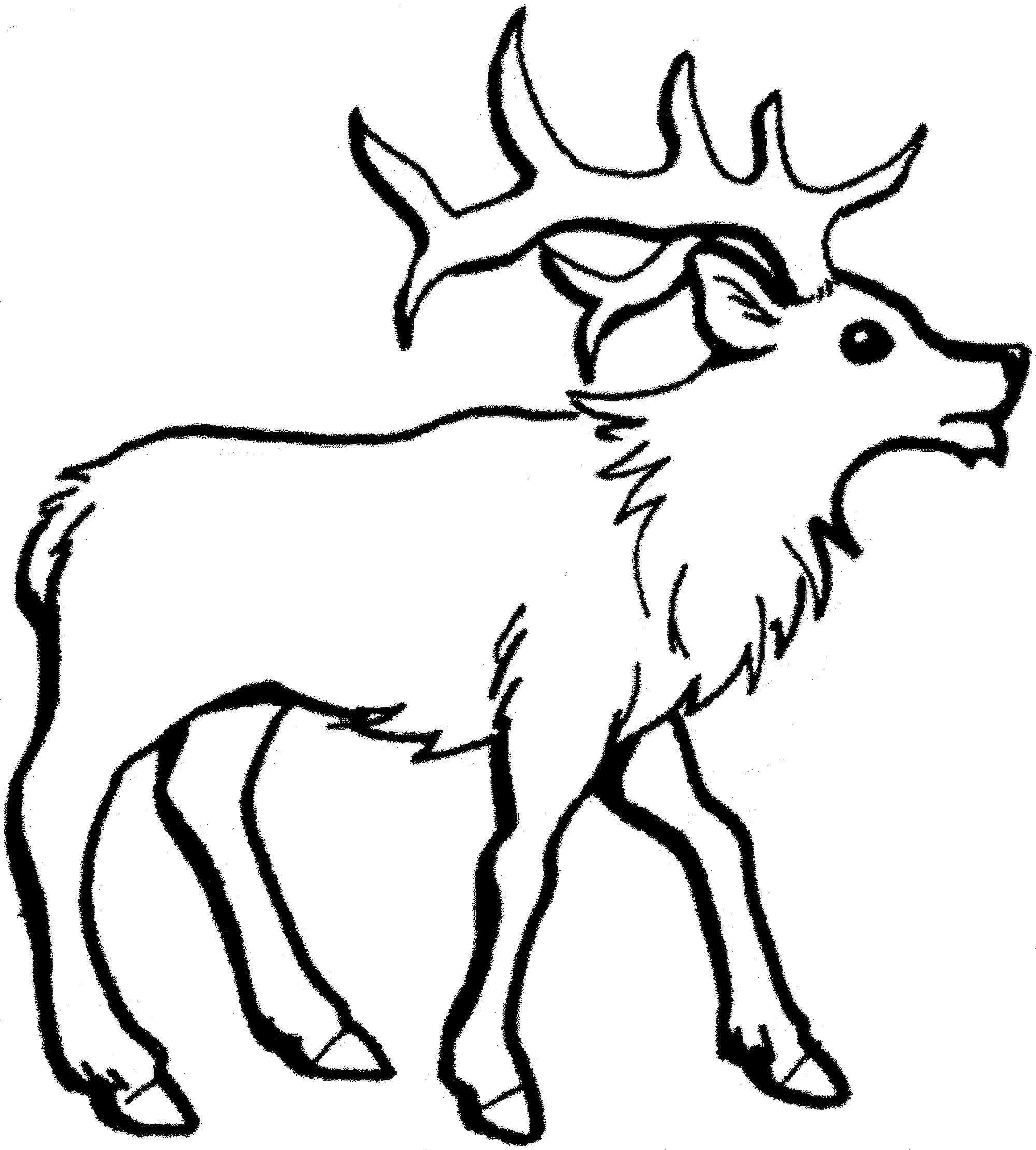 Dibujo Reno