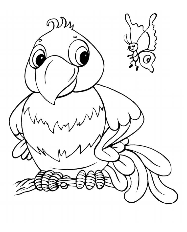 Dibujos Animados de Loros y Mariposas
