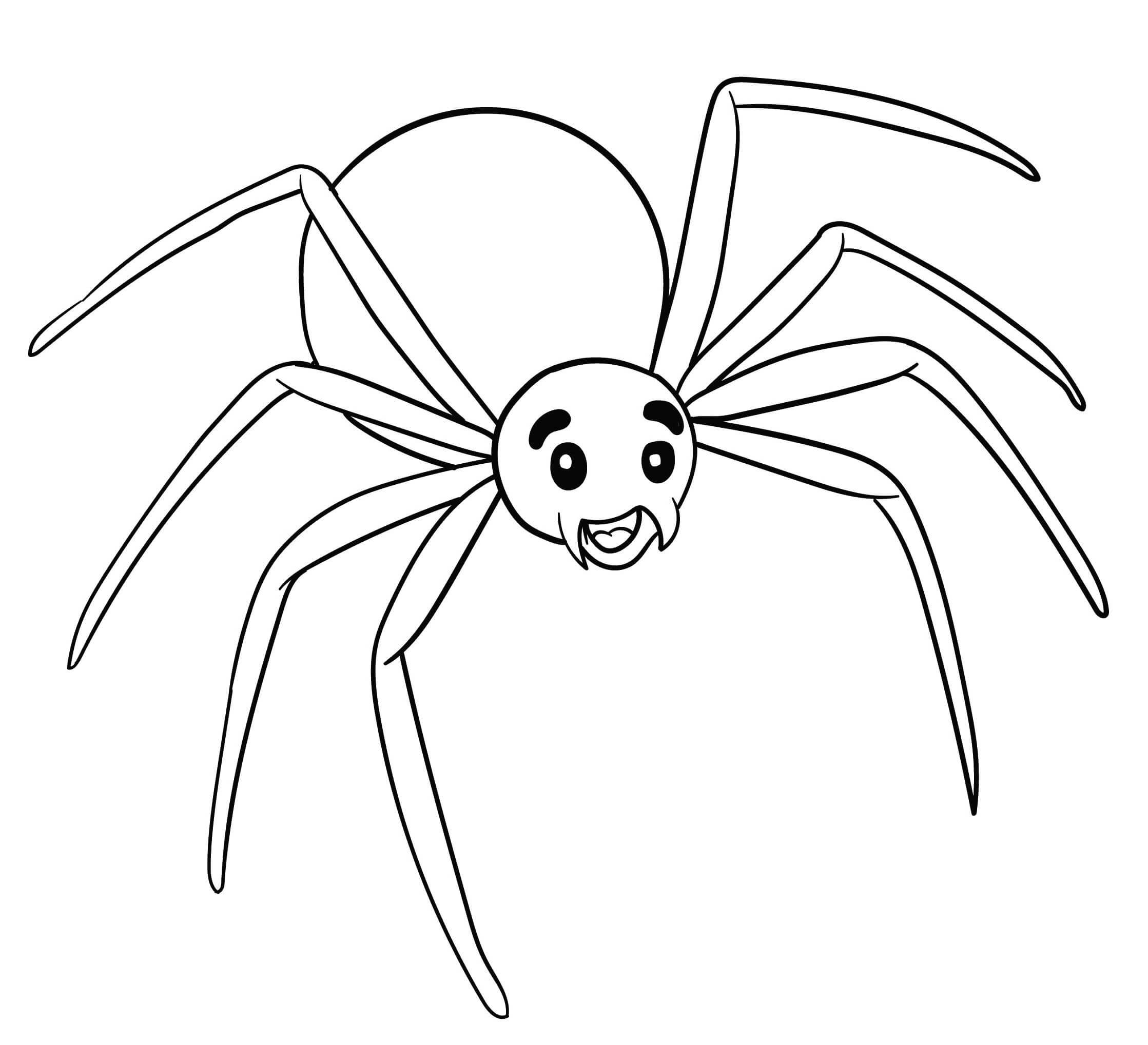 Diversión de Araña