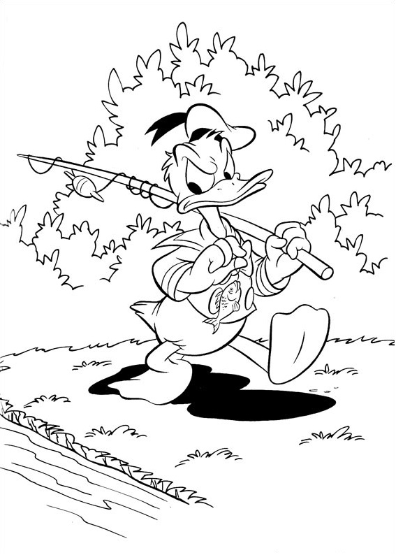 Donald Va A Pescar
