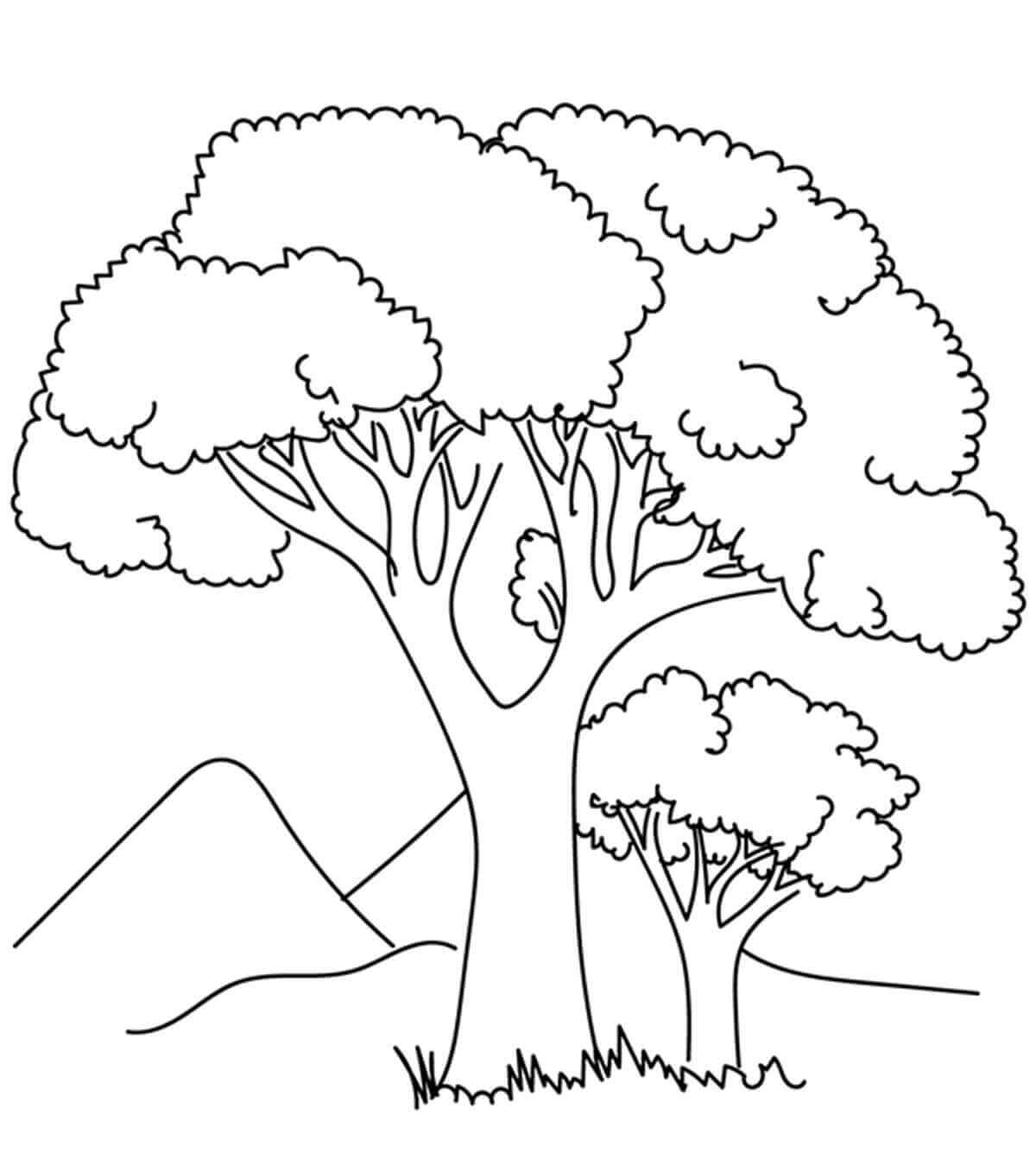 Árbol