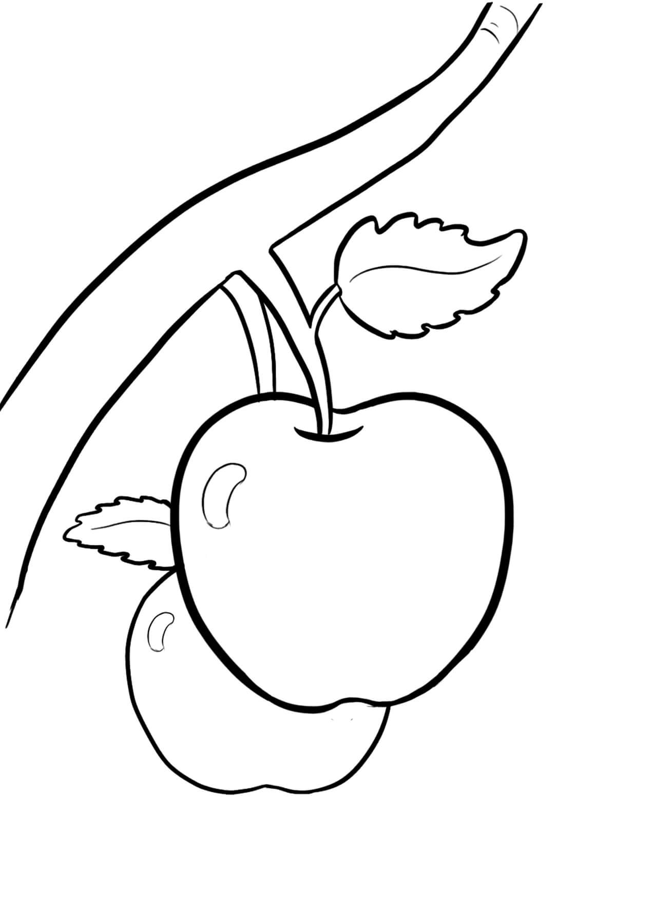 Dos Manzanas en el Árbol