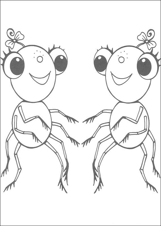 Dos Señorita Arañas