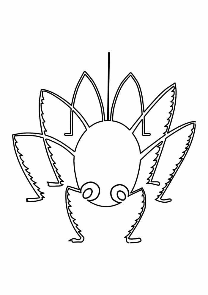 Dulce Araña