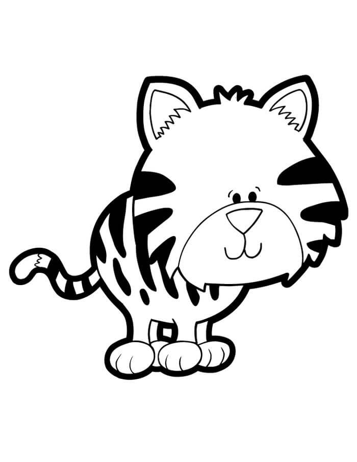 Dulce Tigre