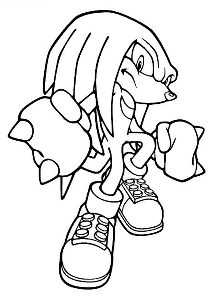 Echidna