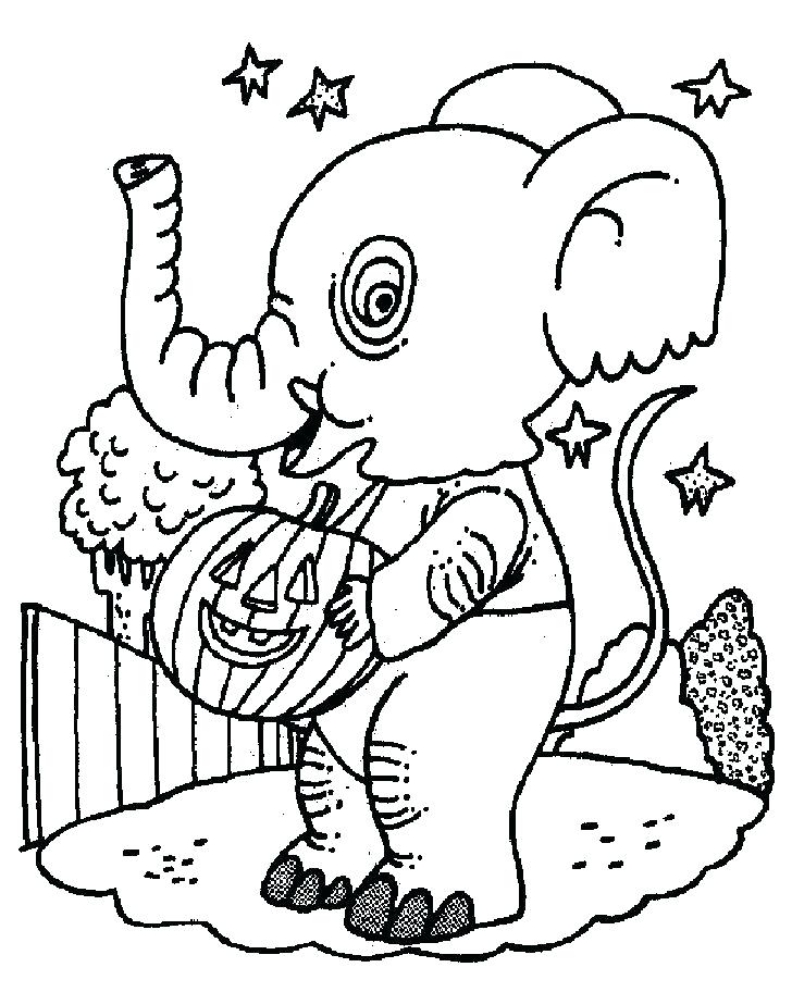 Elefante Con Calabaza