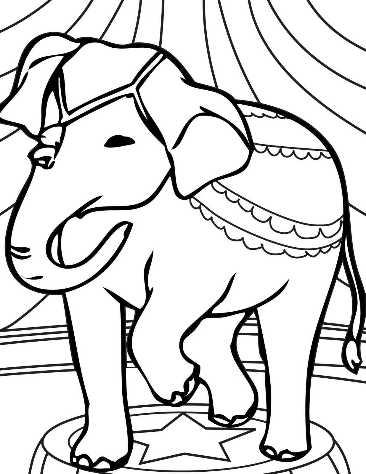 Elefante, En, Circo