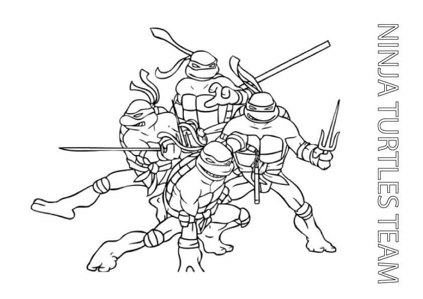 Equipo De Tortugas Ninja