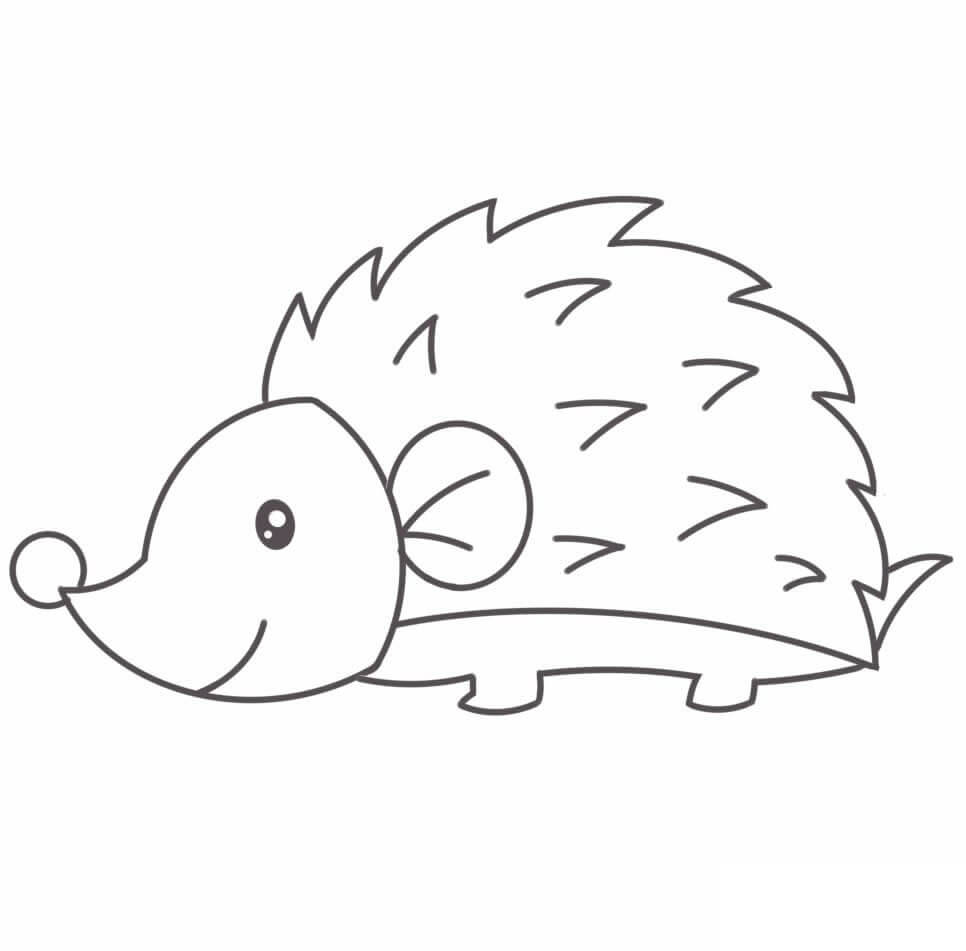 Erizo