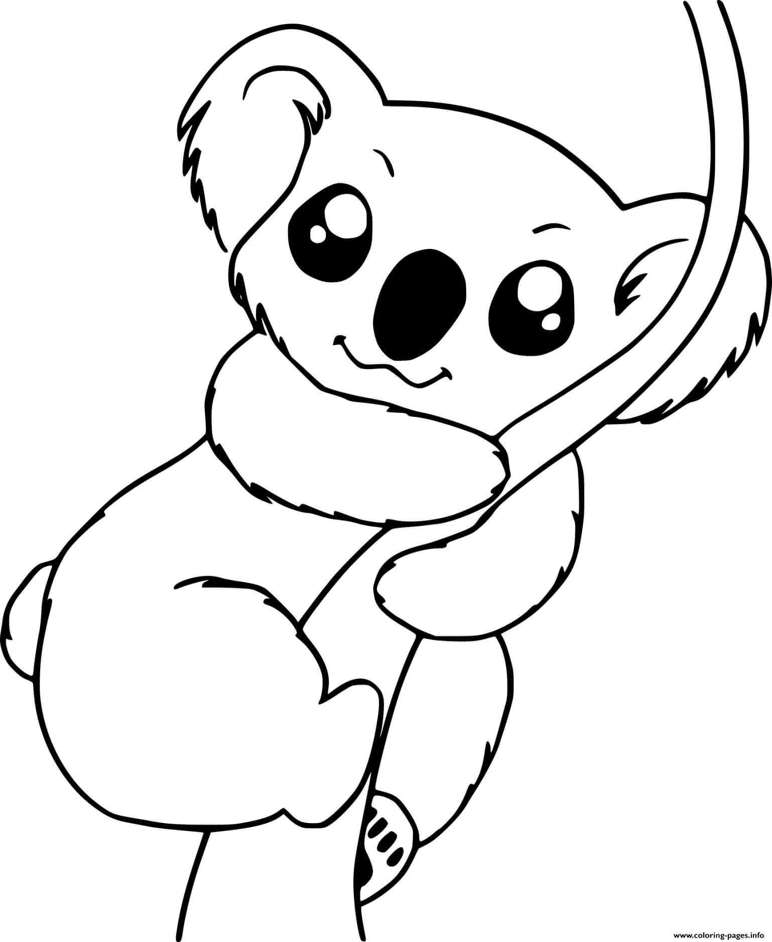 Escalada de Koalas