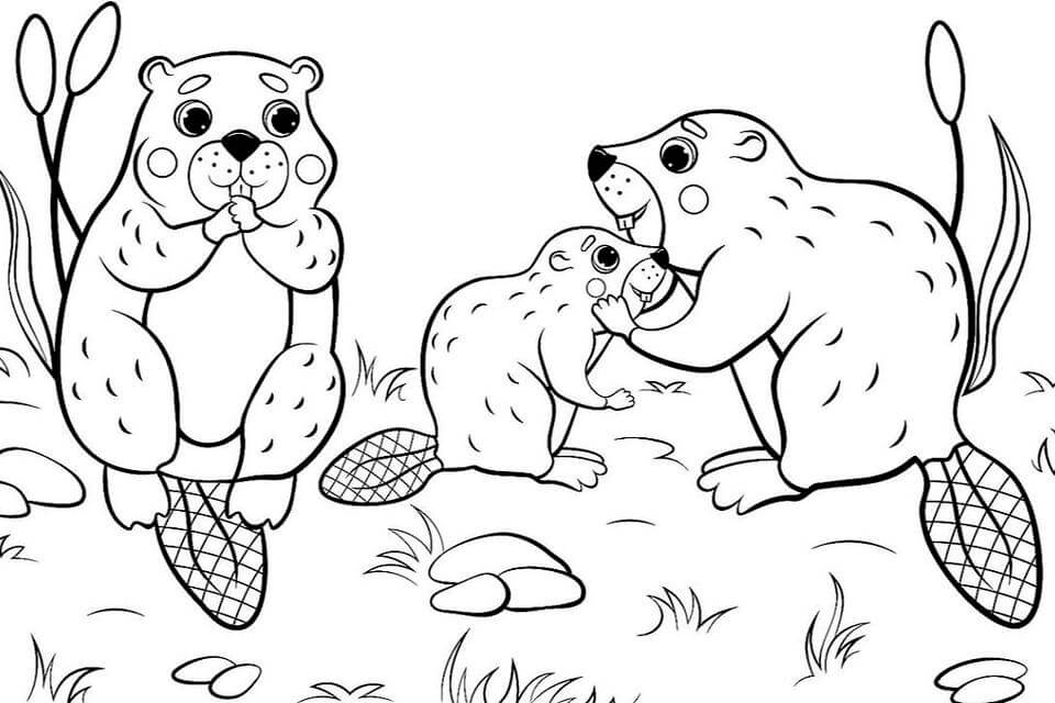 Animales