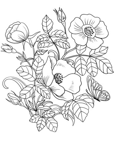 Flores de Primavera y Mariposas