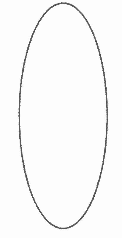 Forma De Elipse