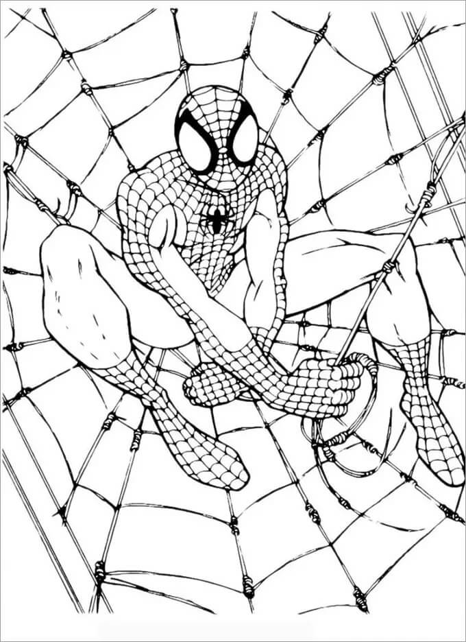 Foto Gratis de El hombre Araña