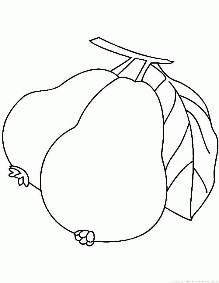 Fruta de Guayaba