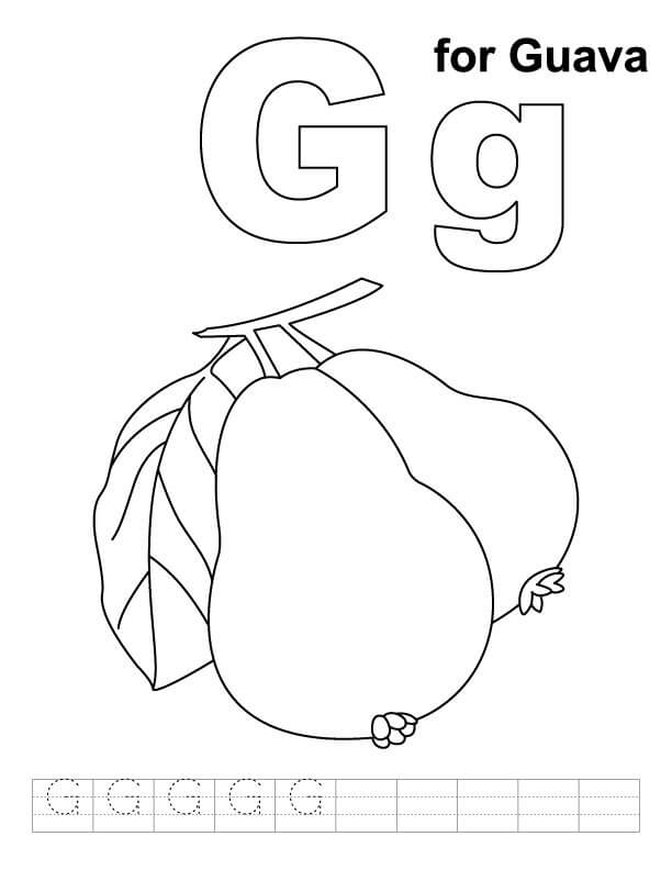 G es de Guayaba