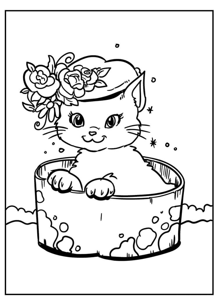 Gato Acostado en una Olla
