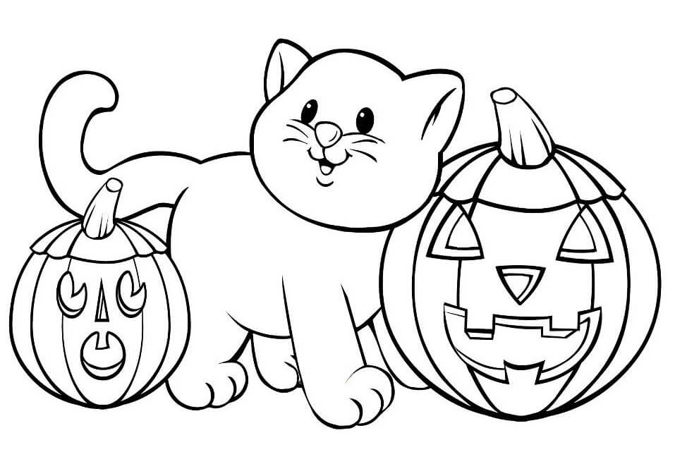 Gato con dos Calabazas