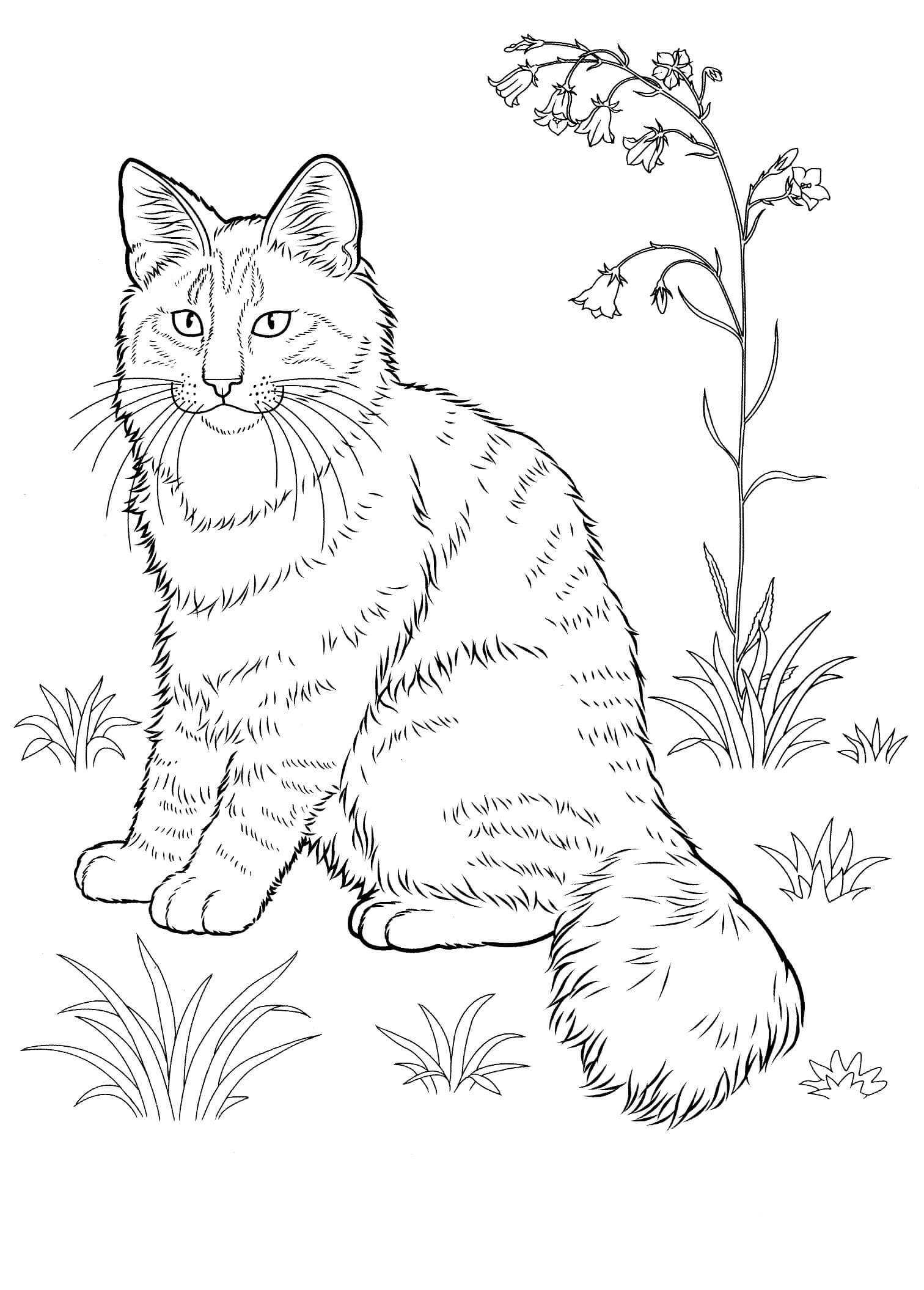 Gato con Hierba y Flor