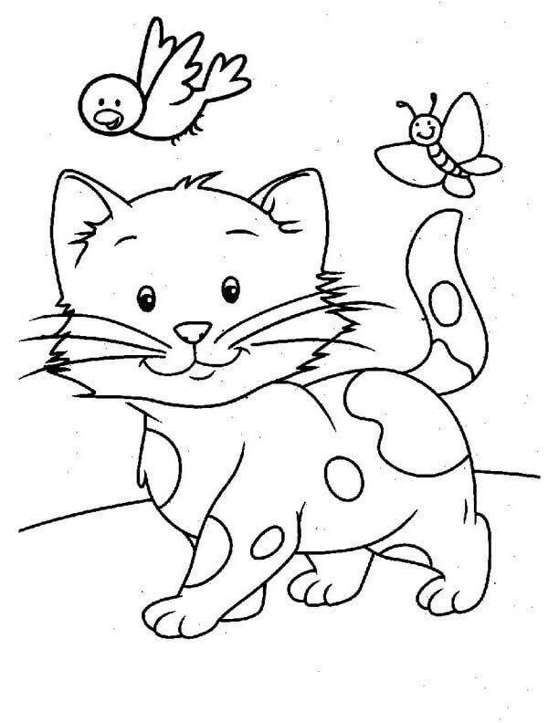 Gato con Pájaro y Mariposa