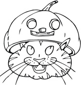 Gato Con Sombrero De Calabaza