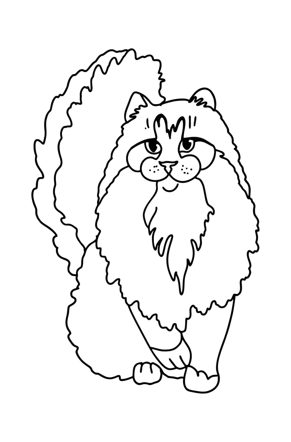 Gatos