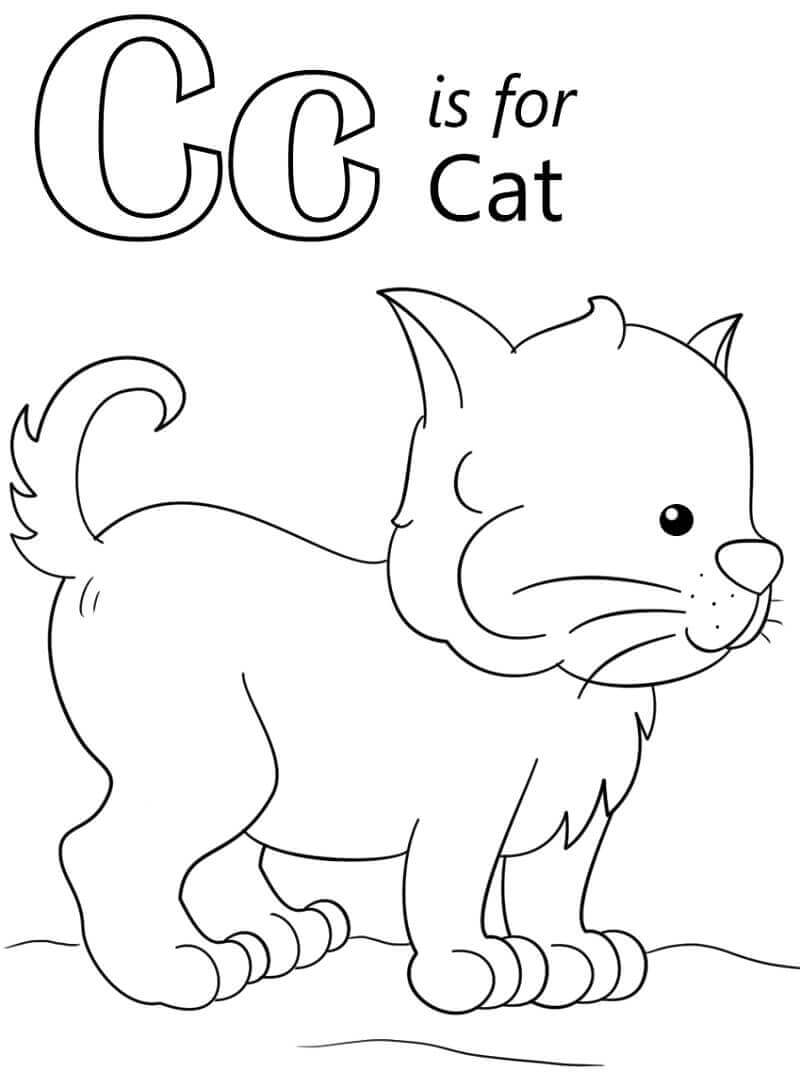 Gato, Letra c
