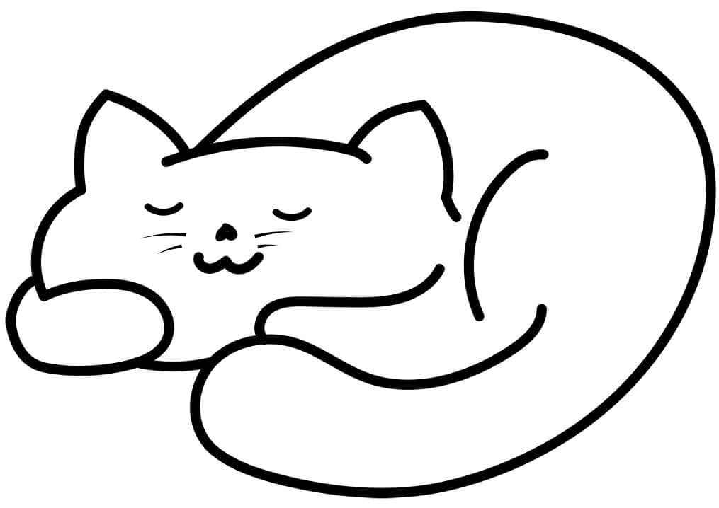 Gato Lindo Durmiendo