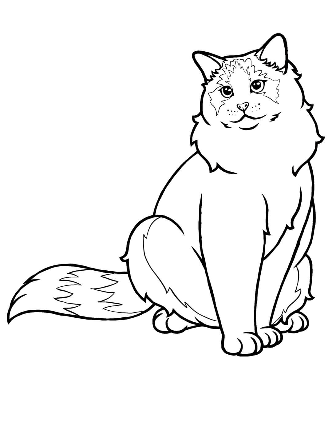 Gato Muñeco de Trapo